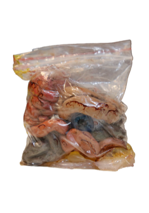 Bag of organs